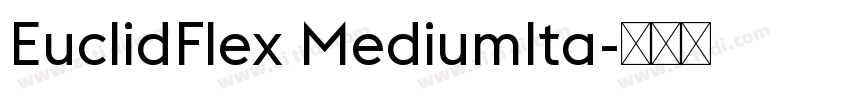 EuclidFlex MediumIta字体转换